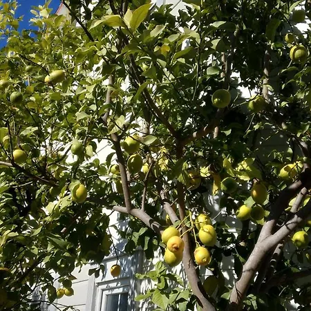 Villalemoon 别墅 贝莱克