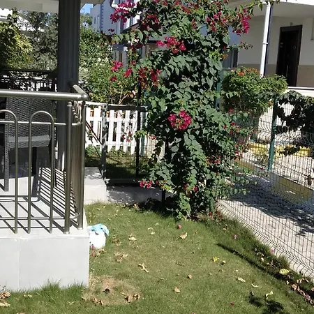 Villa Villalemoon