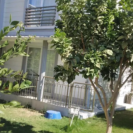 Villalemoon Villa *