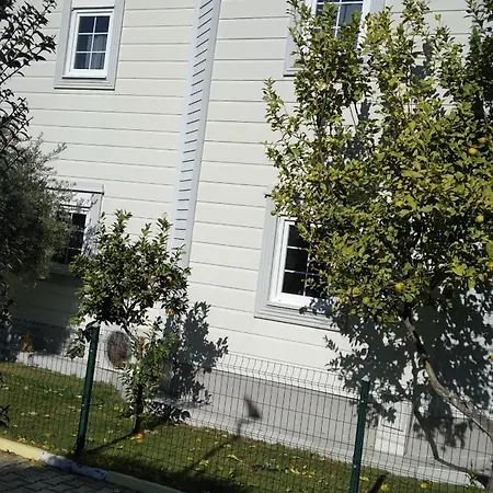 Villa Villalemoon *