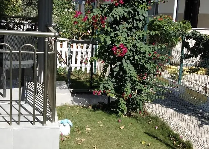 וילה Villalemoon