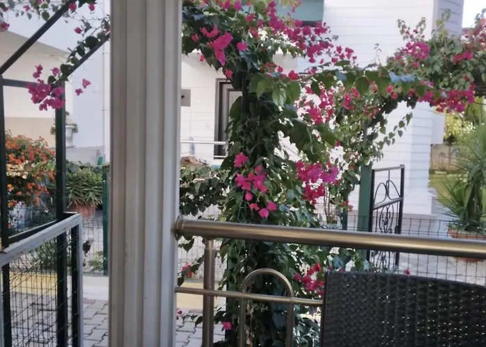 Villalemoon
