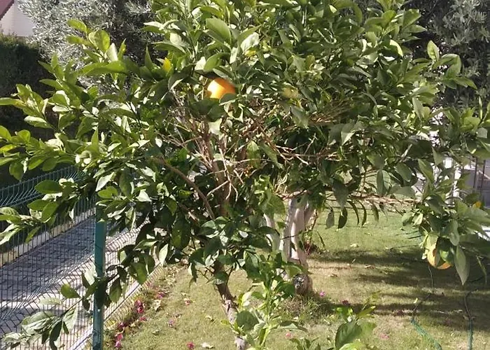 וילה Villalemoon באלאק