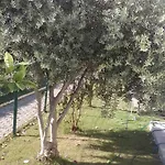 Villalemoon Belek