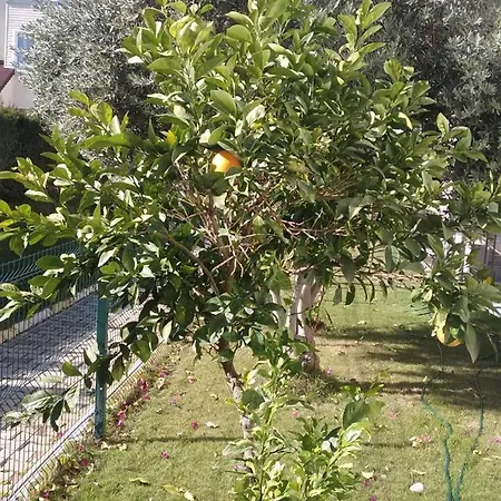 빌라 Villalemoon 베렉