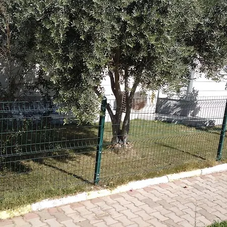 Villalemoon فيلة